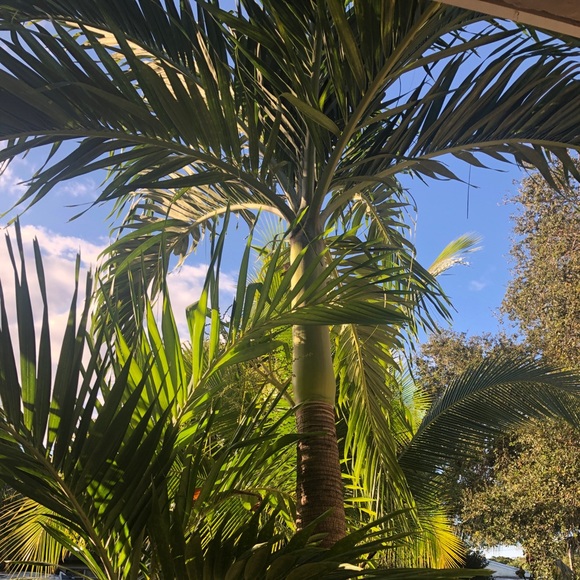 Meet your Posher, Sarah - Picture 1 of 1